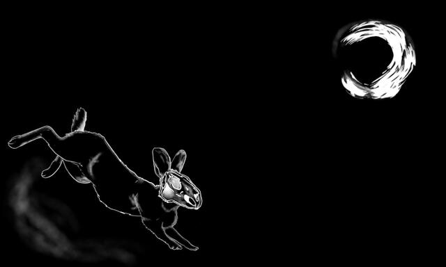Rabbit