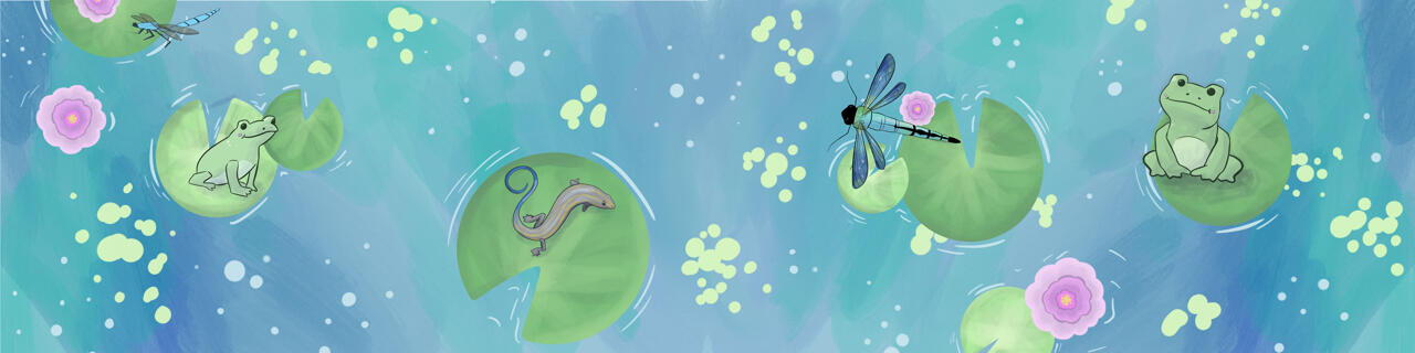 Pond
